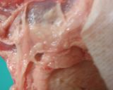 A picture of step 1 of Rendering Beef.