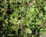 عکس مرحله 1 از دستور خورش ریحون با گوشت قلقلی