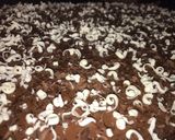 A picture of step 16 of Rich Chocolate Slice Cakes.