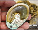和風滷鮑魚+雞魚鮑汁燒的食譜步驟3照片