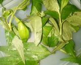 Hình bước làm 1 của món Gỏi Trái Cóc Khô Bò Sợi