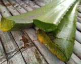 Foto langkah ke 1 dari resep Kolak Lidah Buaya.