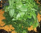 Foto langkah ke 7 dari resep Urap Sayuran.