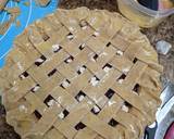 Plant-Based Pie Crust recipe step 9 photo