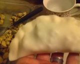 Foto del paso 4 de la receta: Empanadas de Pollo con cebolla de verdeo