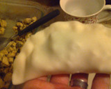 Foto del paso 4 de la receta: Empanadas de Pollo con cebolla de verdeo