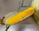 A picture of step 1 of Japanese Grilled Corn.