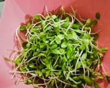 ยําต้นอ่อนทานตะวันใส่ส้มจี๊ด วิธีทำสูตร 1 รูป