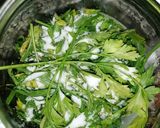 Petrezselyemzöld tárolás recept fázis 4 fotója