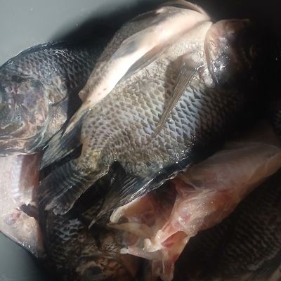 Langkah 1