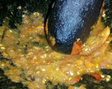 Foto langkah ke 2 dari resep Tumis pepaya #pr_adakecapmanisnya.