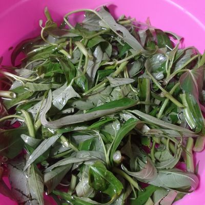 Langkah 1