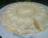 Foto langkah ke 3 dari resep Puding Nangka Santan Bubuk.
