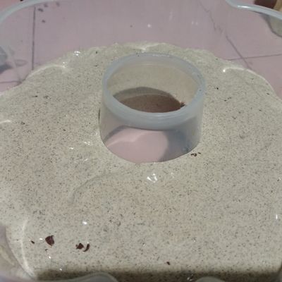 Langkah 9