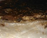 Foto del paso 4 de la receta: Turrones de chocolate dos versiones económicos y ricos !