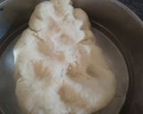 पाकातले चिरोटे (chirote recipe in marathi) रेसिपी स्टेप 1 फोटो 