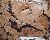 Foto del paso 4 de la receta Bizcocho de arándanos y chocolate sin batidora