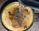 A picture of step 2 of Orange Peel Tea.
