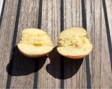 A picture of step 2 of Seven Seas Cheese filled Apples.