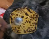 A picture of step 4 of Missi paratha.