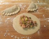 Foto del paso 8 de la receta: Gyozas de pollo, calabacín y cebolleta