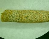 A picture of step 8 of Protein-Packed Veggie Paneer Roll.