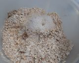 Foto del paso 3 de la receta: Galletas de avena y miel
