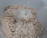 Foto del paso 3 de la receta: Galletas de avena y miel