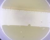A picture of step 4 of Ginger lemonade.