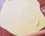 A picture of step 9 of Homemade lasagna sheets.