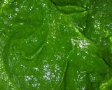 પાલક પનીર રોલ (Palak Paneer Roll Recipe In Gujarati) રેસીપી સ્ટેપ2ફોટો