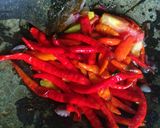 Foto langkah ke 2 dari resep Sambel goreng (temen makan).