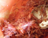 A picture of step 2 of Miyar Egusi.
