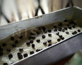 Foto langkah ke 7 dari resep Cake Kopi ~ Semriwing Kopi nya ☕.