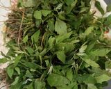 A picture of step 1 of Bathua Raita.