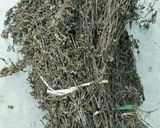 Hình bước làm 1 của món Thạch sương sáo