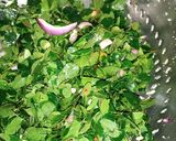 A picture of step 3 of Dambu.