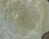 Foto del paso 2 de la receta: Macarrons