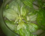 Foto del paso 1 de la receta: Te Helado de Albahaca y Limón