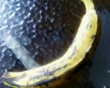 Foto del paso 1 de la receta: Plátanos en Tentación