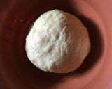 Foto langkah ke 4 dari resep Bakpao / pao landak lembut isi cokelat,keju,greentea.