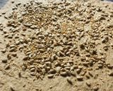 Foto del paso 5 de la receta: Hogaza de pan de centeno