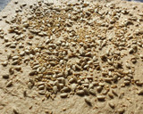Foto del paso 5 de la receta: Hogaza de pan de centeno