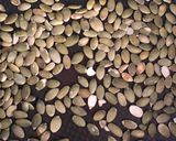 A picture of step 1 of Spring salad.