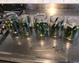 Une image de l'étape 6 de Conserves de piments verts aux tomates, ail et herbes aromatiques.