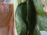 Gulai Tunjang
