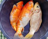 Foto langkah ke 1 dari resep Pepes Ikan Mas Bumbu Pedas.