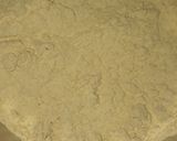 A picture of step 2 of Missi roti.