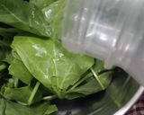 પાલક નો જ્યૂસ (Palak Juice Recipe In Gujarati) રેસીપી સ્ટેપ2ફોટો
