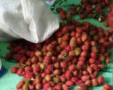 Asinan Rambutan